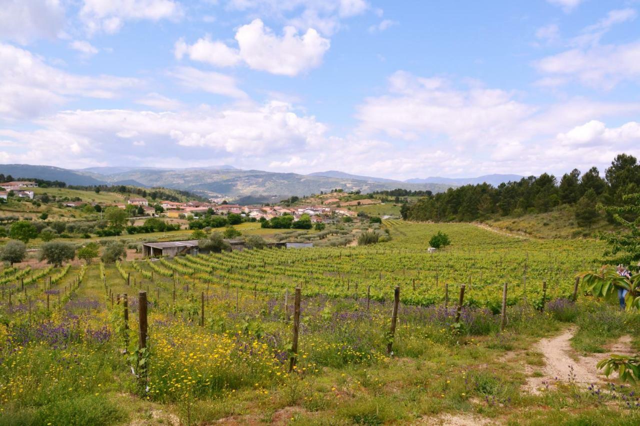 Vila Casas de Selhariz Vidago Exteriér fotografie
